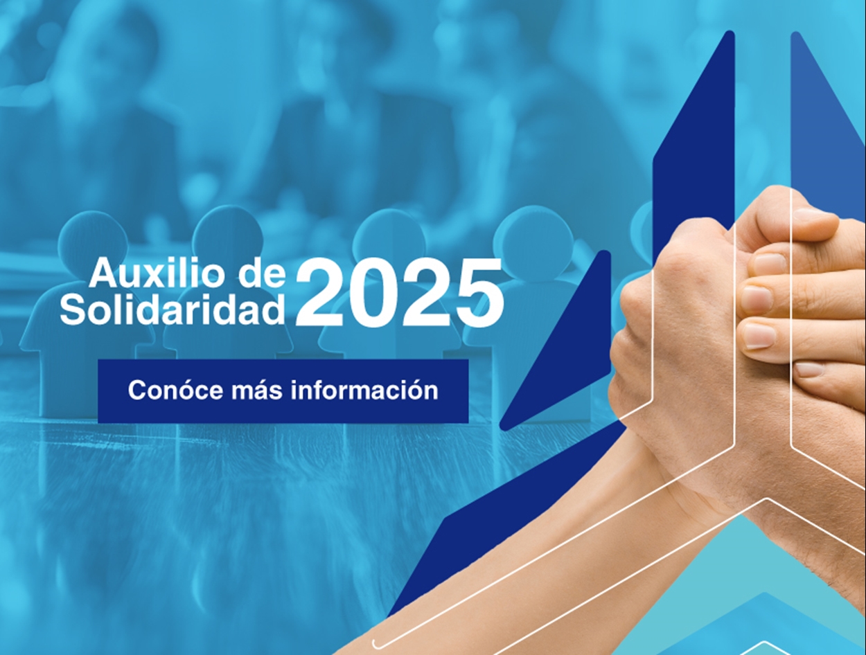 AUXILIOS SOLIDARIDAD 2025