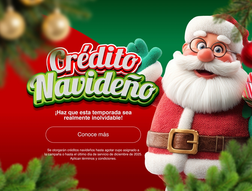 CREDITO NAVIDEÑO 