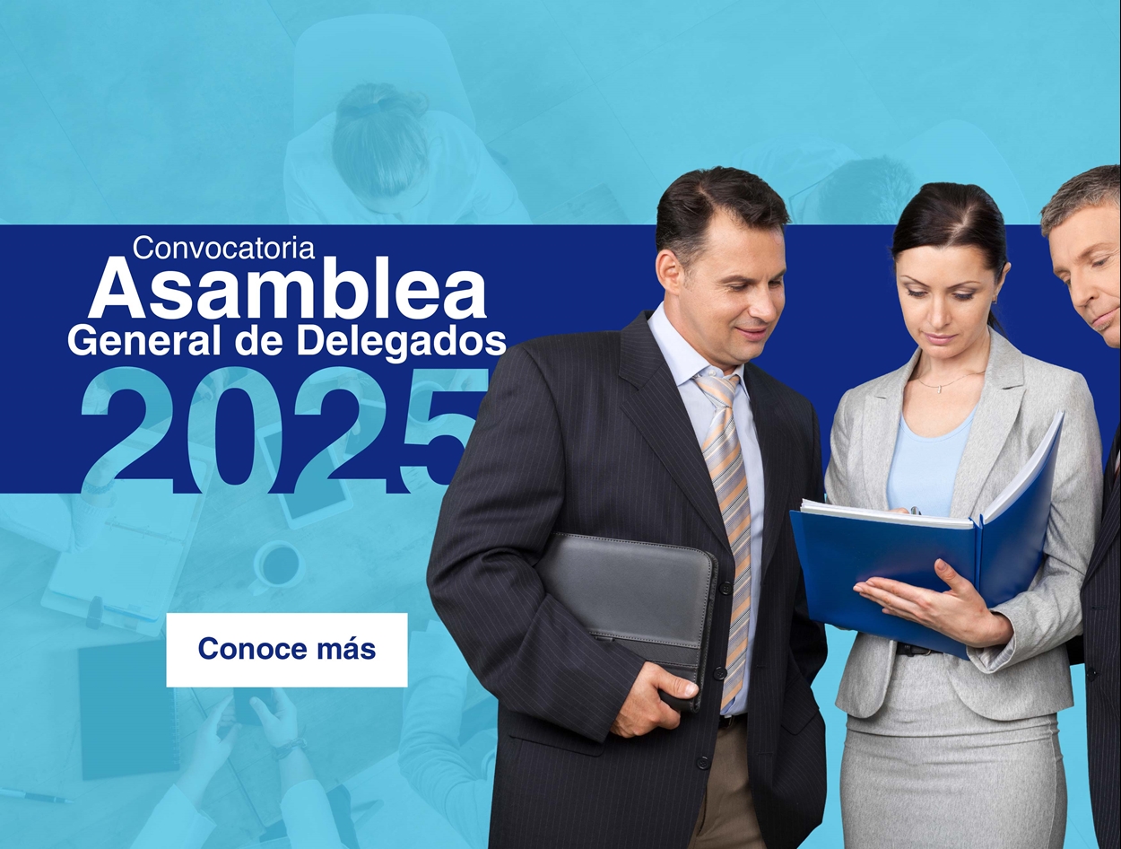 Convocatoria de Asamblea de delegados 2025